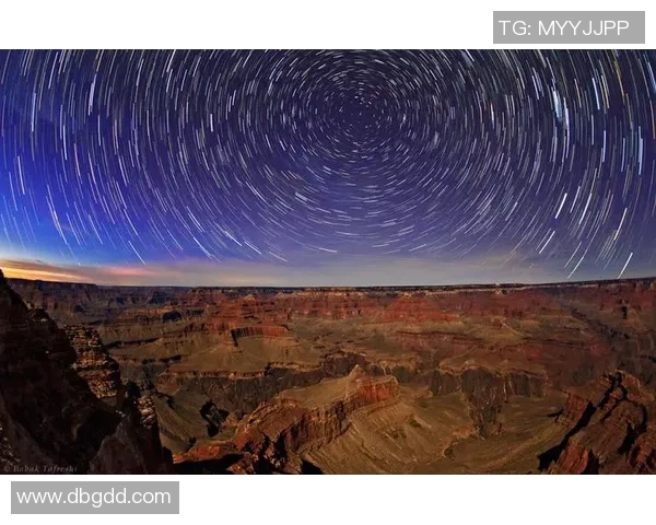 最强对决：Peanut与Canyon的野区风格深度解析与比较